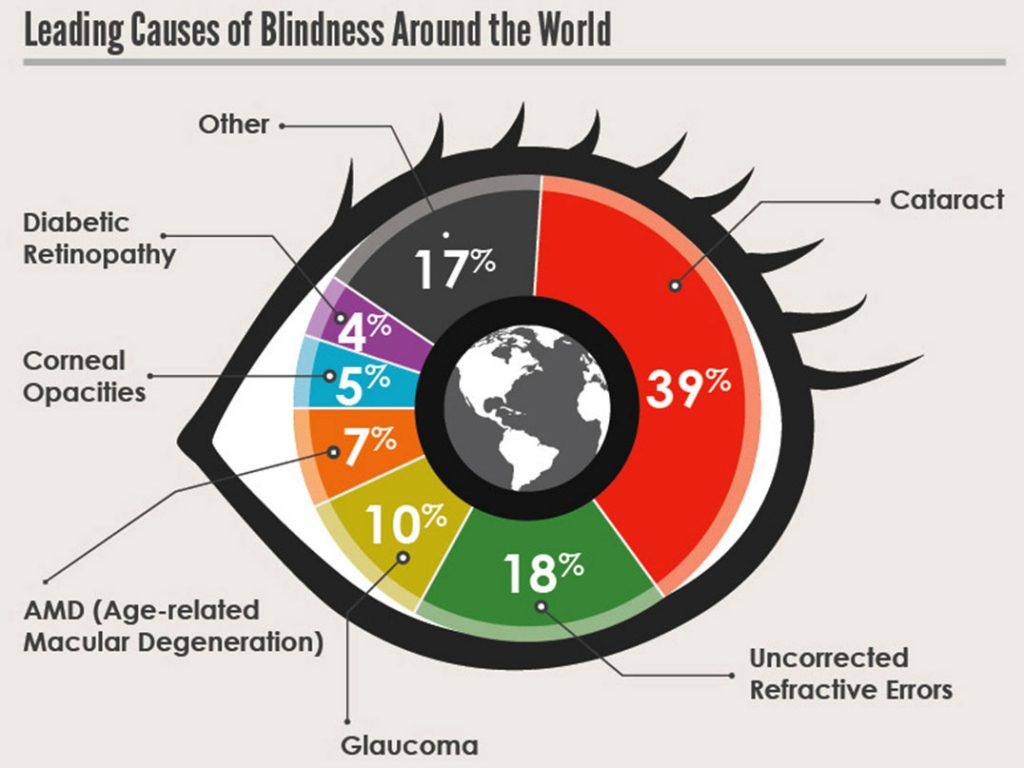 The most common causes of blindness and low vision